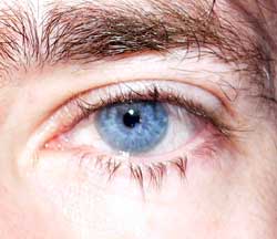 Profil de Josick